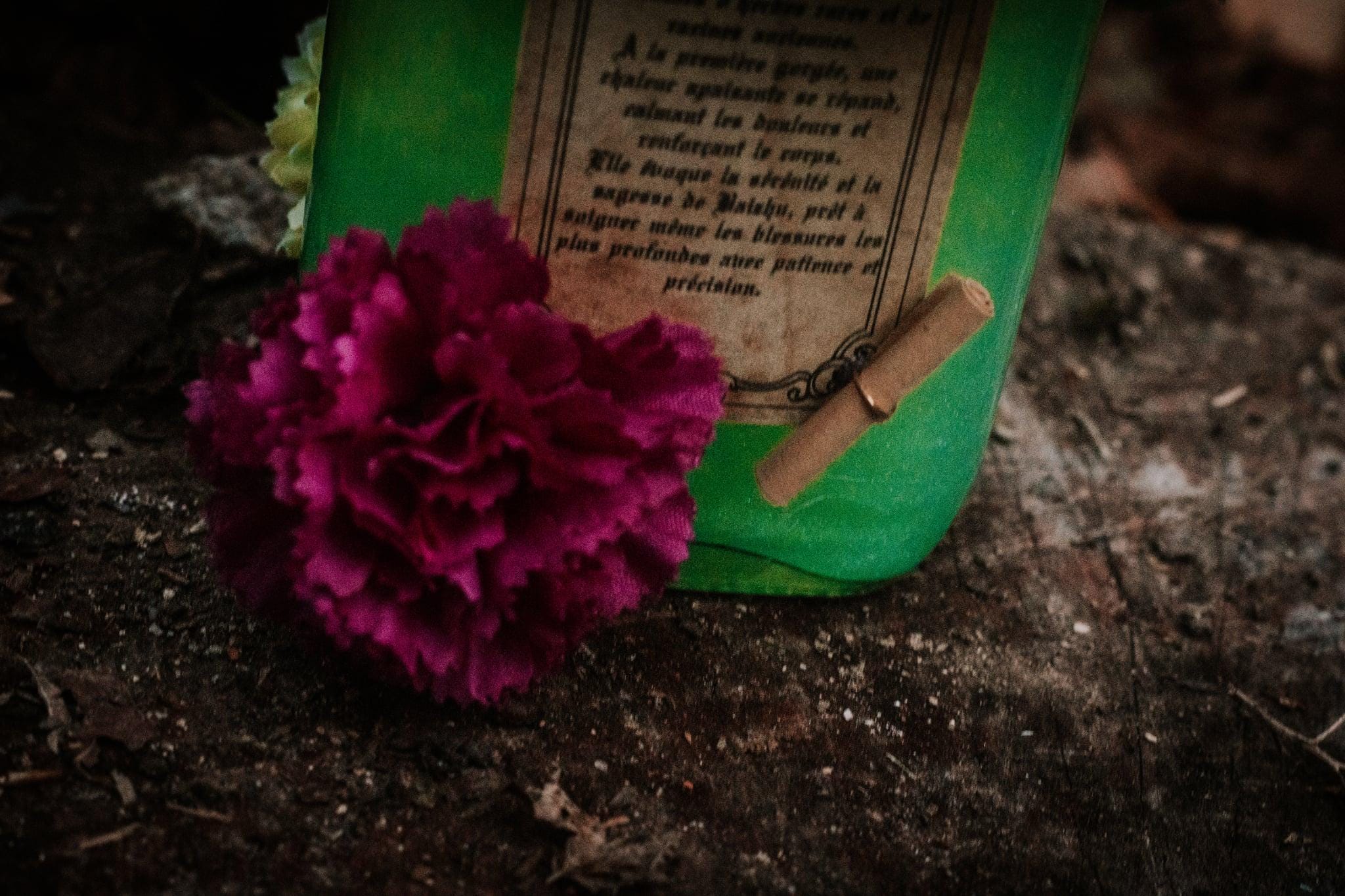 Élixir de l’Herbe Sombre – Potion Magique Verte | Fiole Décorative Sorcière | Poison Mystique & Nature
